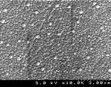 (b) Y-TZP (< 0.5 µm)